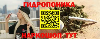 гашик Донецк