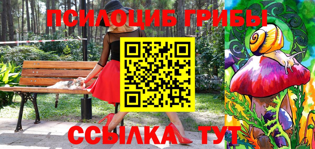 Галлюциногенные грибы GOLDEN TEACHER  Вход с VPN  купить наркотики сайты  Армавир 